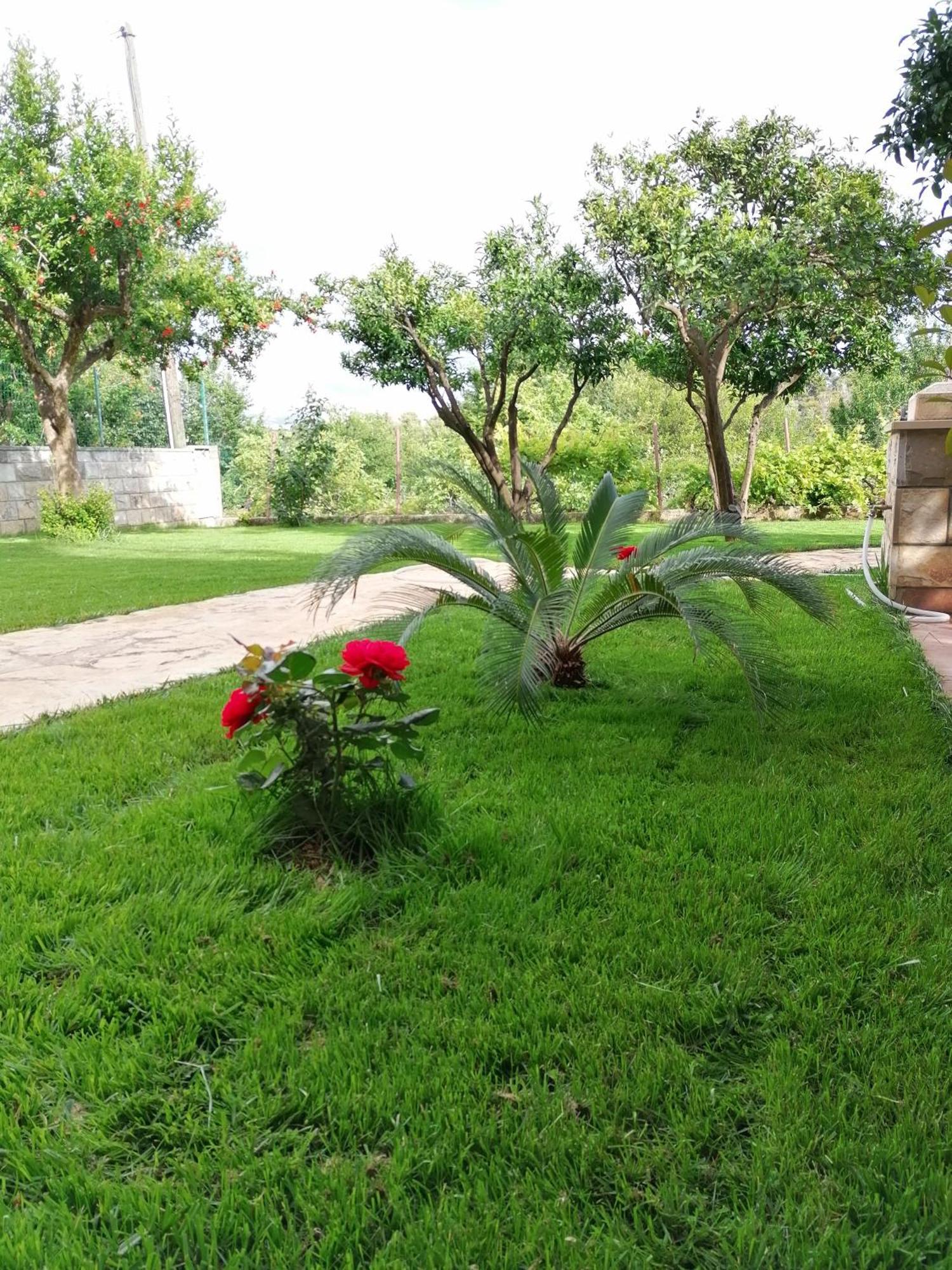 Green Park 2 Dubrovnik